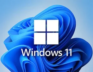 windows 11 pro