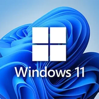 windows 11 education license