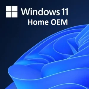 windows 11 home oem lisence key