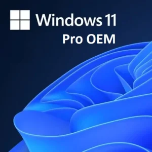 windows 11 pro oem license key